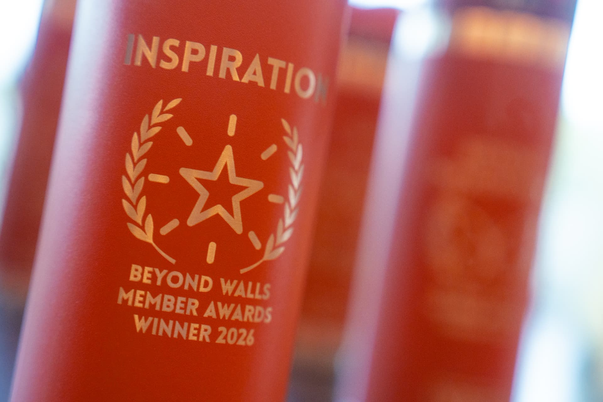 A Beyond Walls member award water bottle
